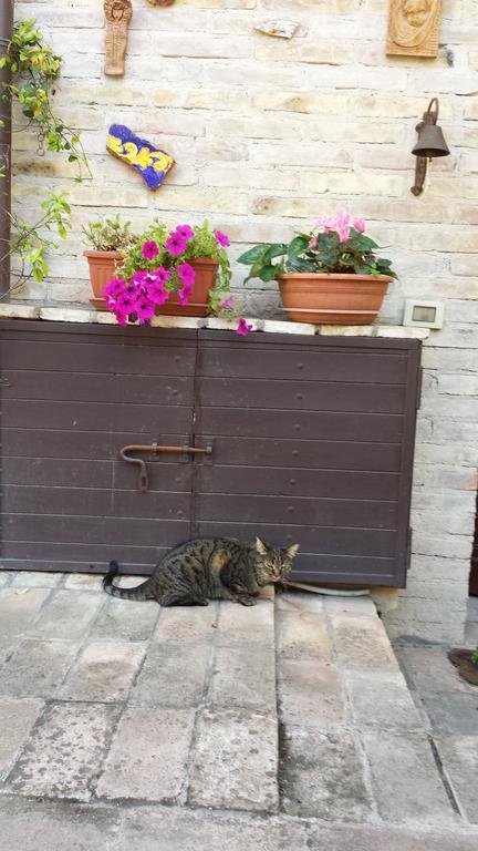 B&B La Casuccia Di อัสซิซี ภายนอก รูปภาพ